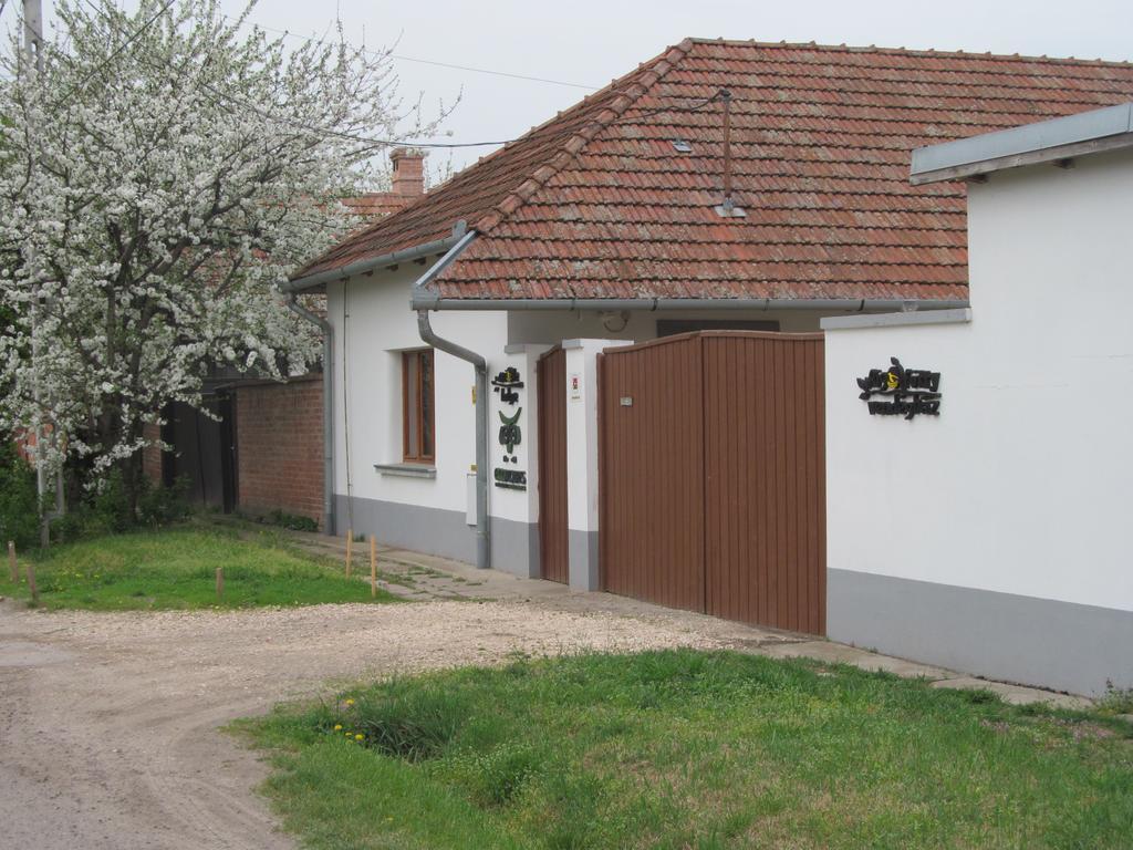 Rigofuetty Vendeghaz Hotel Tiszaalpar Екстериор снимка