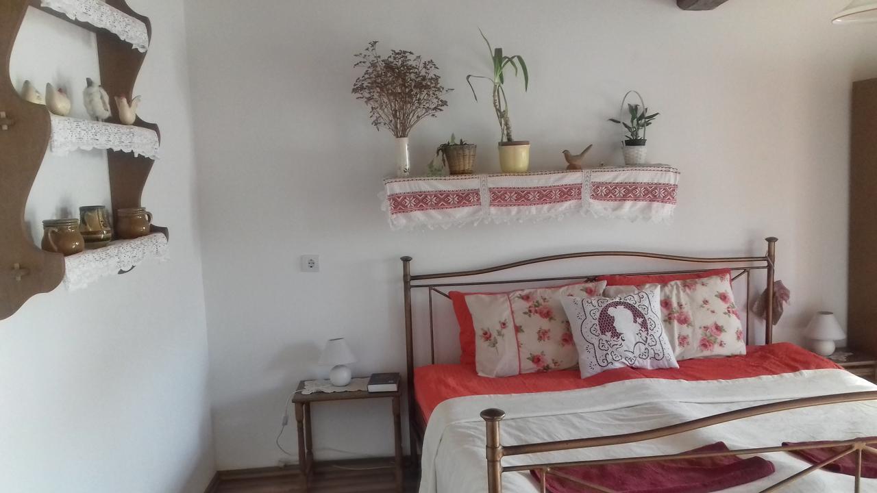 Rigofuetty Vendeghaz Hotel Tiszaalpar Екстериор снимка