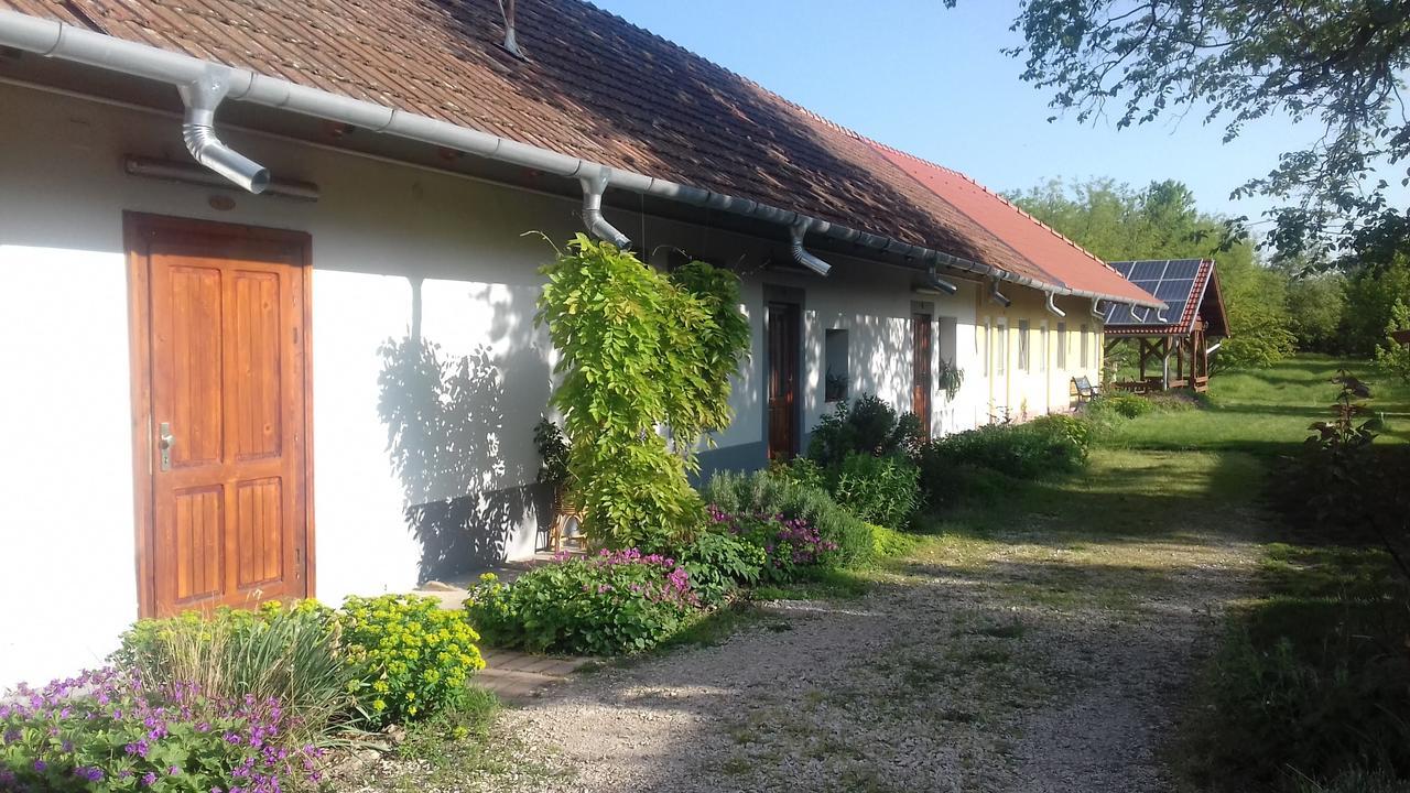 Rigofuetty Vendeghaz Hotel Tiszaalpar Екстериор снимка